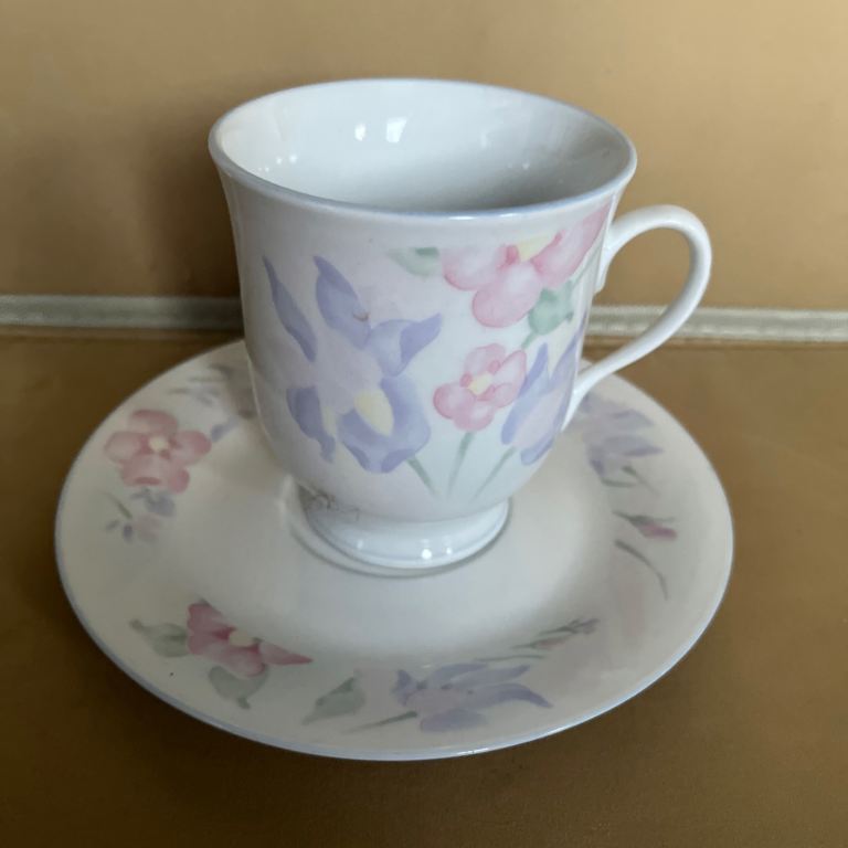 Prestige excel cup and saucer 
