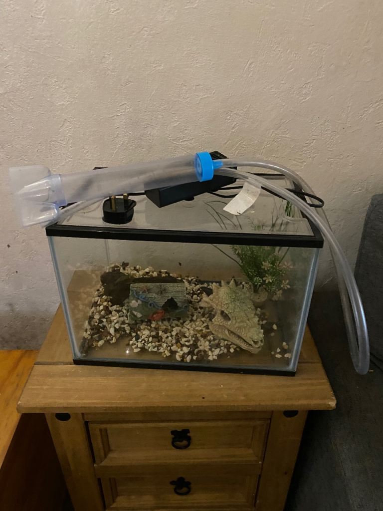 Beginners aquarium set up