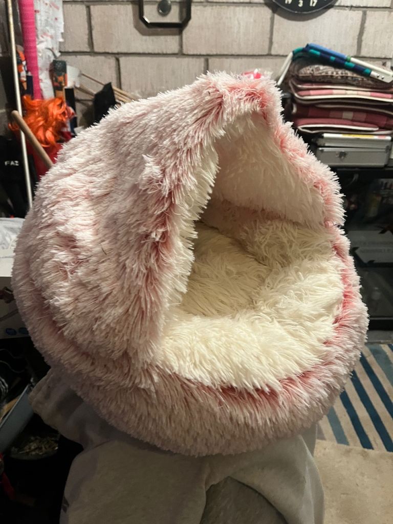 Cat bed 