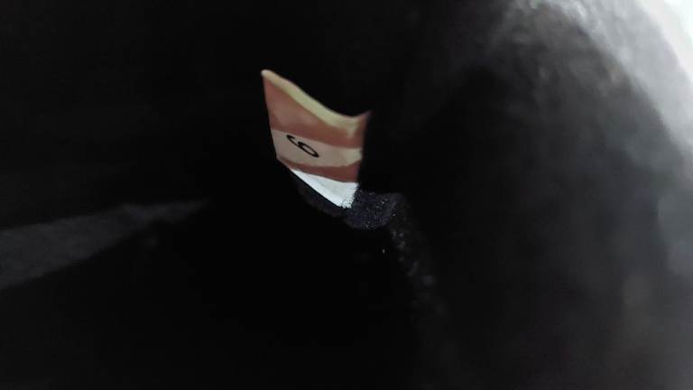 Anarchy Inline Roller Skates (Size 9)