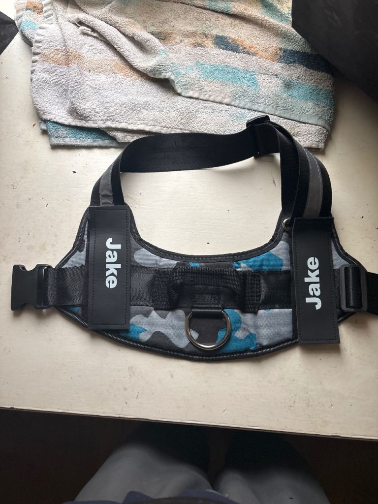 XL dog harness 