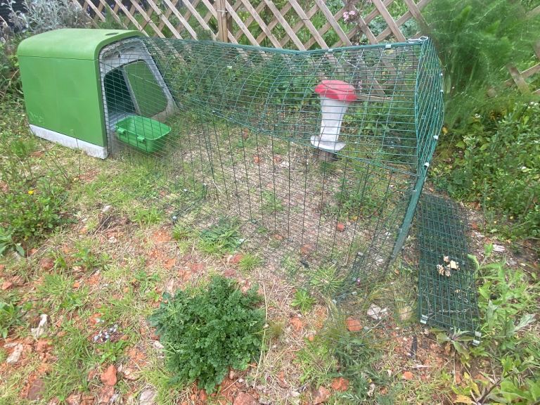 Chicken coop eglu/omlet