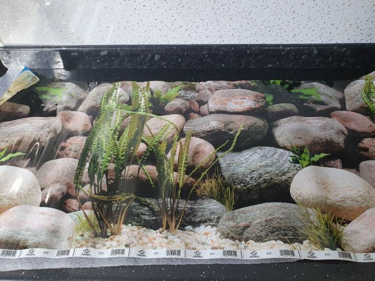 2 x Marina Double-Sided Aquarium Background