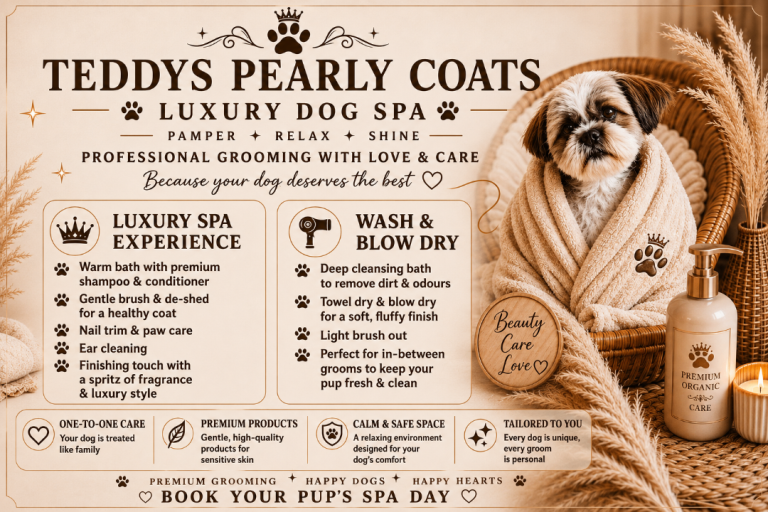 Luxury dog spa grooming services 
