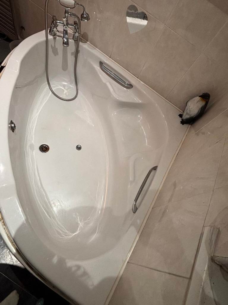 corner bath with dual taps and shower head