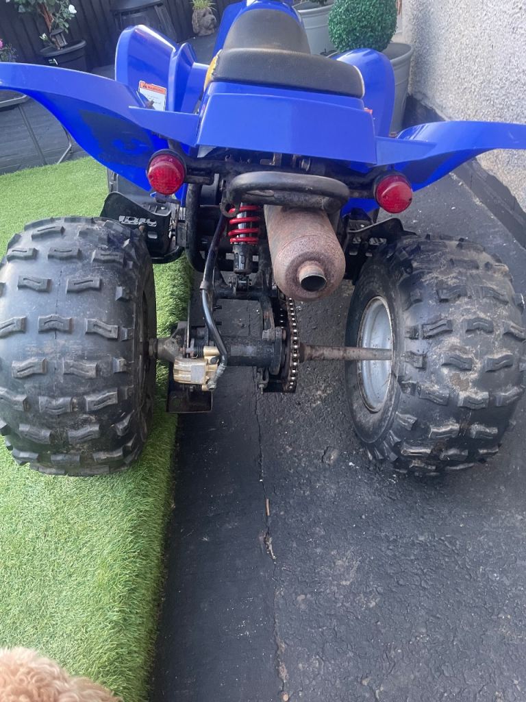 90cc quad Eton viper
