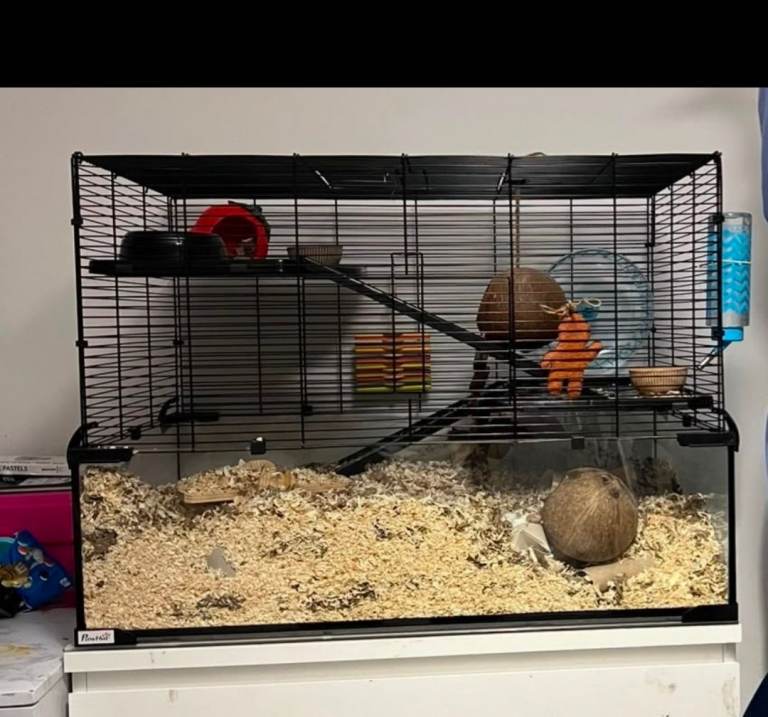 Gerbil / Hamster Cage Full set up.