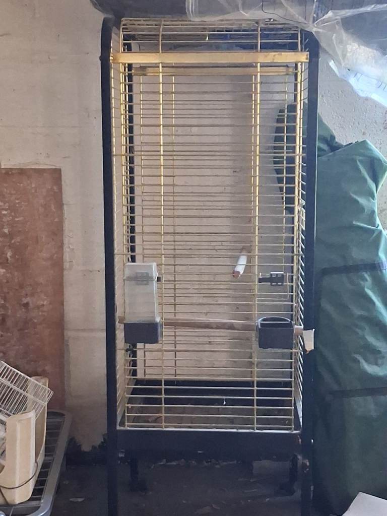 parrot cage