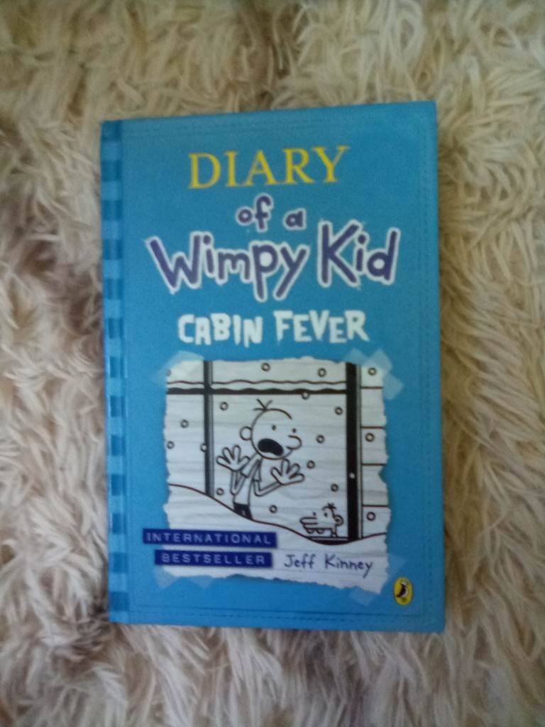 Diary Of A Wimpy Kid: Cabin Fever