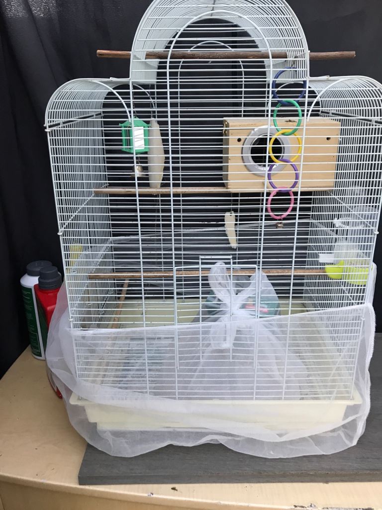Bird cage,Parrot cage