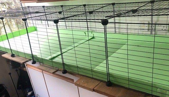Indoor guinea pig run (Kavee)