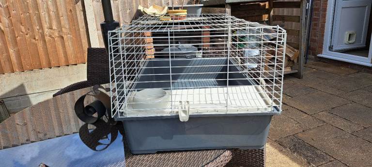 Indoor Guinea Pig Cage