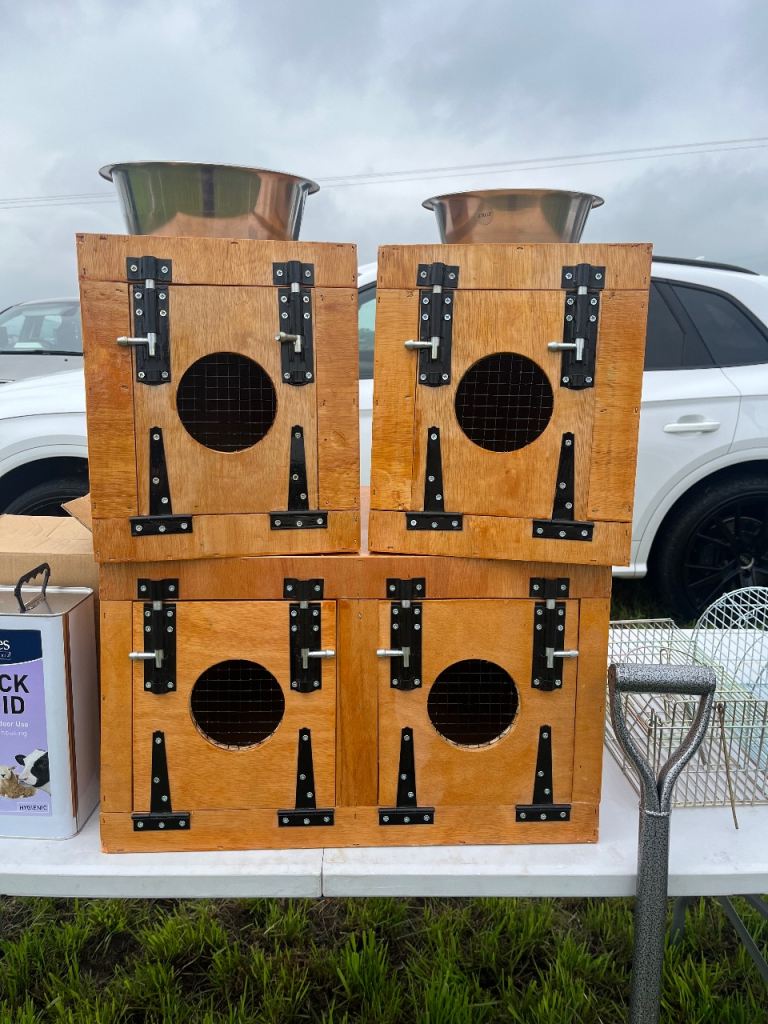 Terrier boxes ( ferrets Lakeland patterdale terriers )