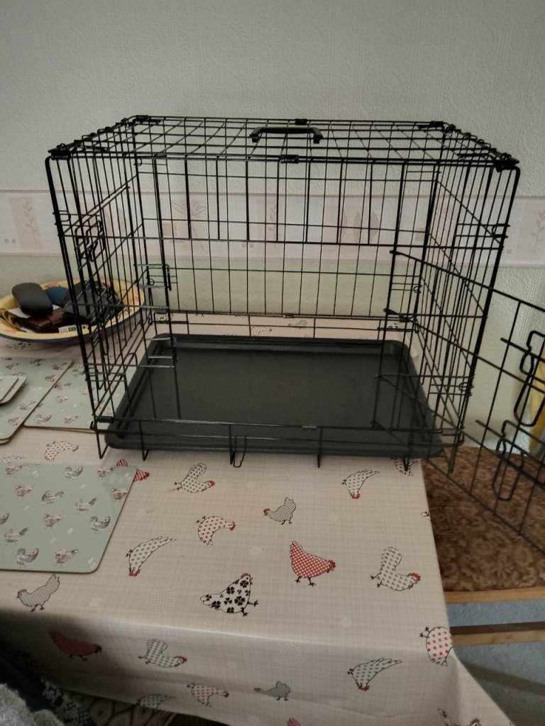 All dog cage