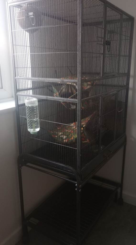 Large cage