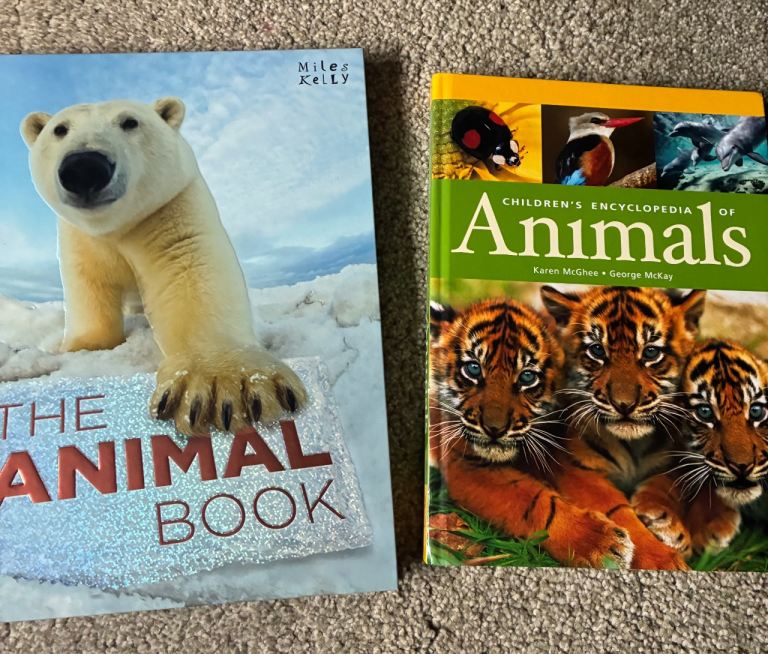 Children’s books NEW nearly new 