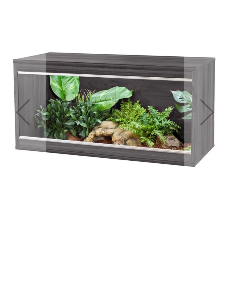 Vivarium 3ft or 4ft wanted 