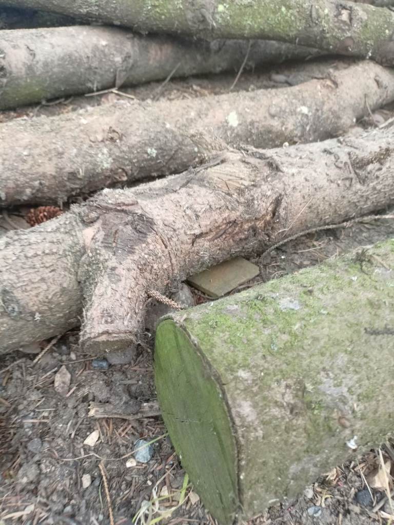 Large Firewood