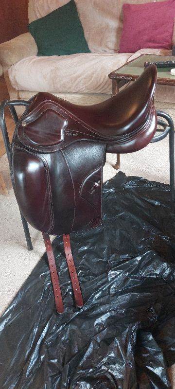 Amerigo Pinerolo dressage saddle