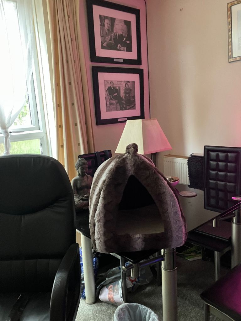 Kitten/cat Faux fur pyramid