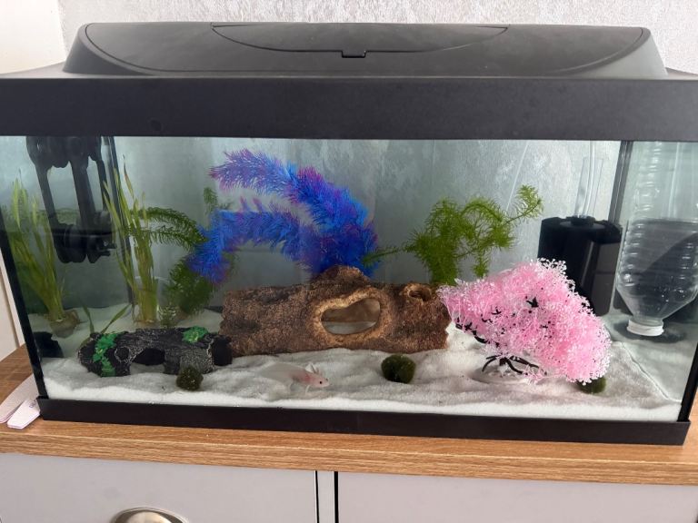54l tetra fish tank 