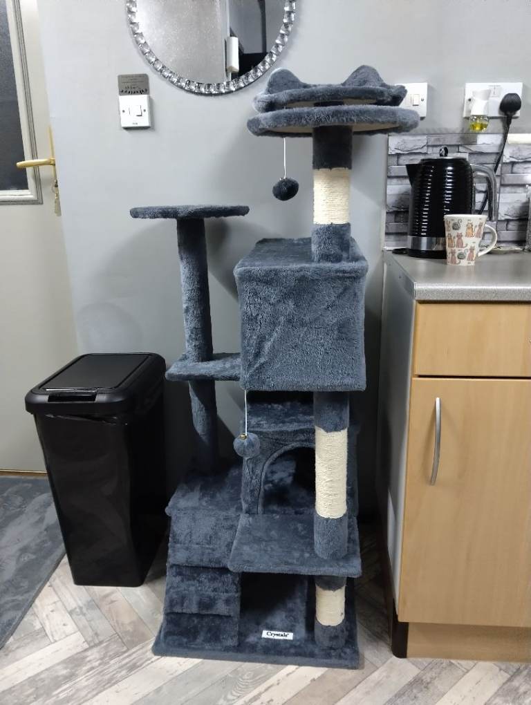Brand new cat tree
