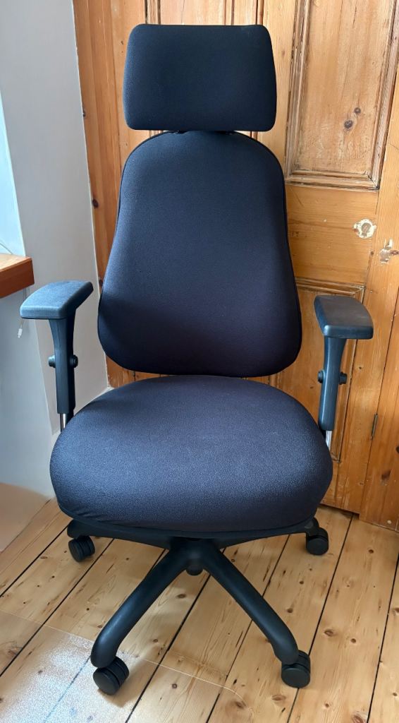 Ergo Posture Fully Adjustable Swivel Office Chair with Headrest and Inflatable Lumbar Support