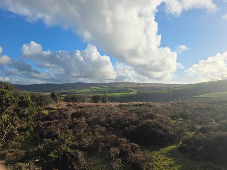 3 bed house in Porlock looking for 3 bed in Devon 