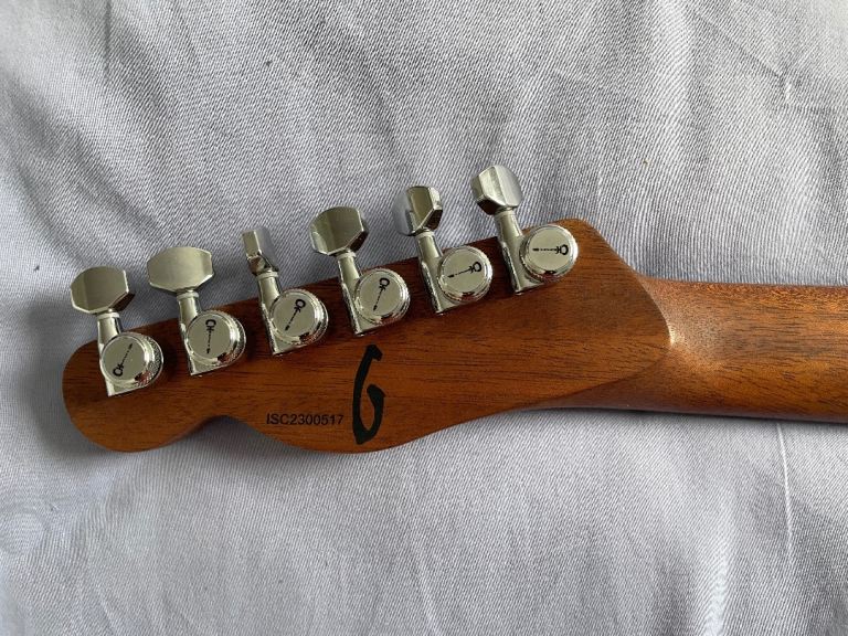 Electric Guitar - Charvel Joe Duplantier Signature Mahogany Pro-Mod San Dimas