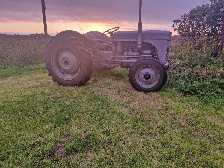  Ferguson Diesel Tractor 