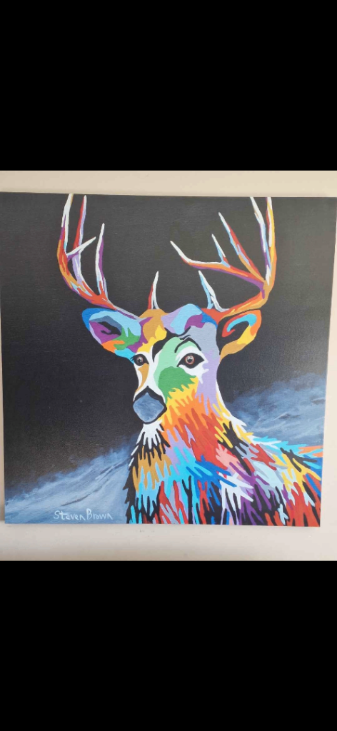 Tam mcdeer steven brown canvas 40”x40”