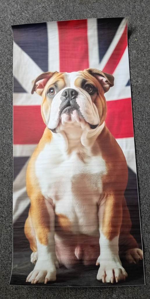 British Bulldog & Union Jack Poster/Banner