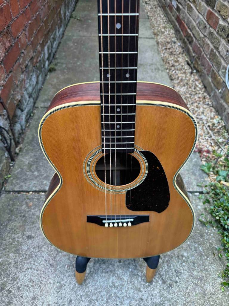 Ibanez V220 Vintage Series (Japan, 1980s) + Schatten HFN passive piezo pickup