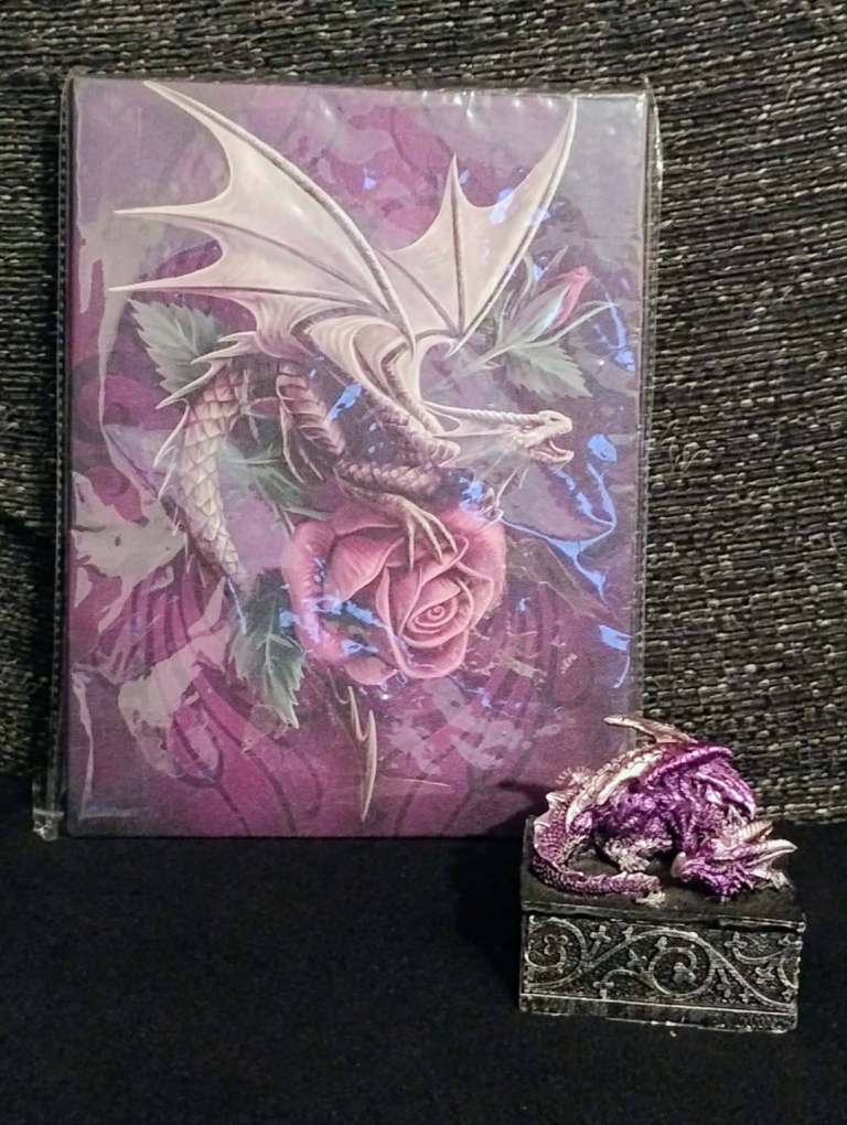 Mini sleeping dragon trinket box and dragon canvas