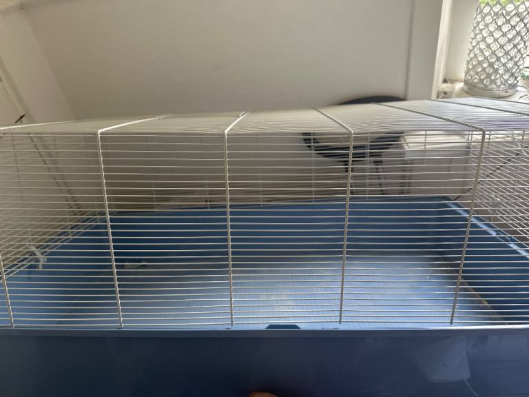 Hamster Cage