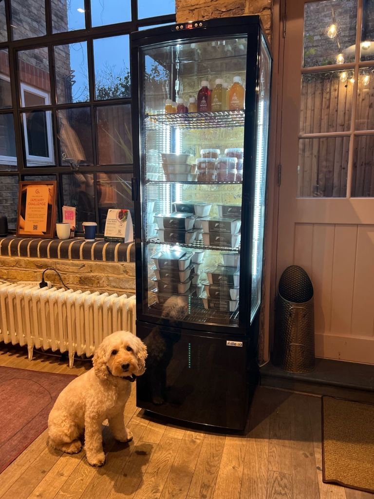 Upright Display Fridge 238 litres 4 shelves Black 1 flat door 