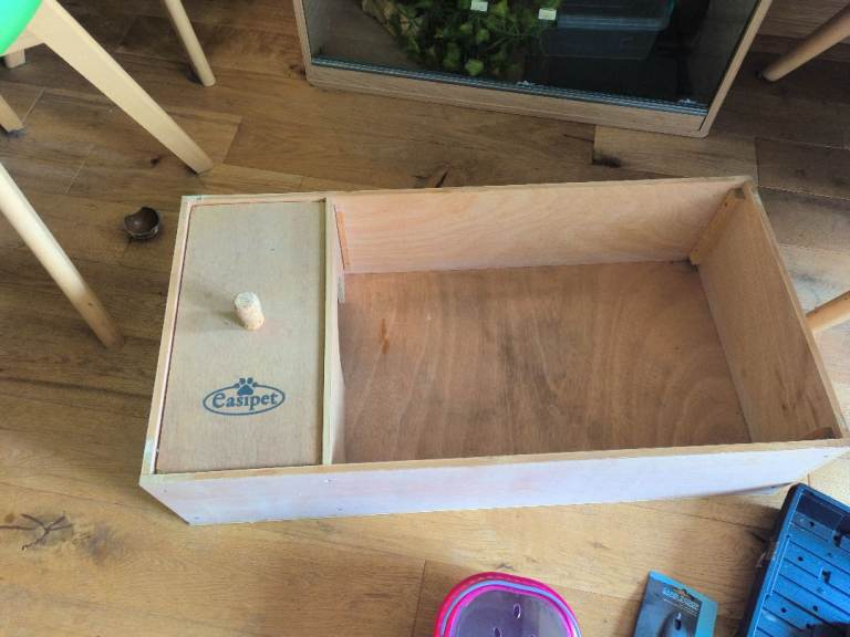 Tortoise table and accessories