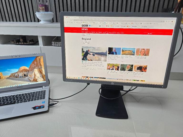 HP Elite 24" monitor NO stand 