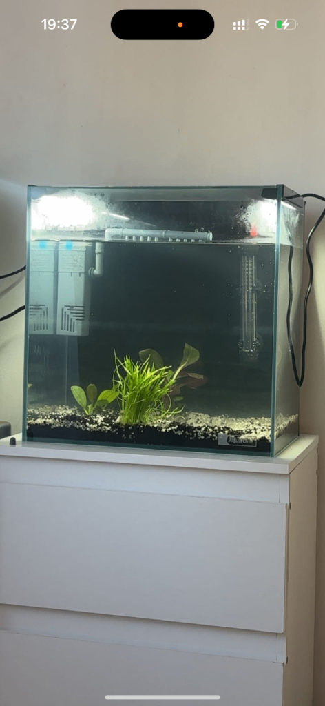 25L aqua one aqualume fish tank for sale