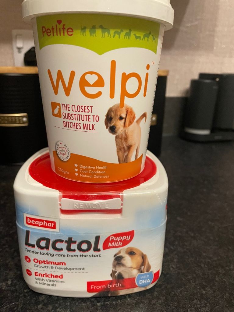 Puppy substitute milk