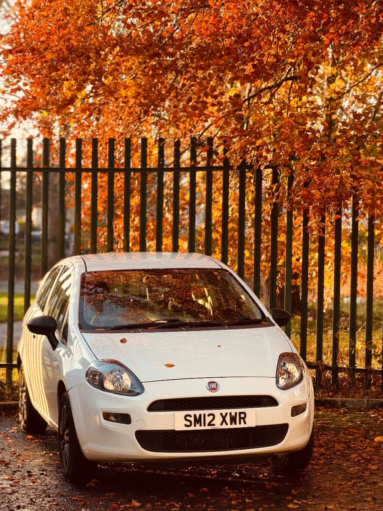 Fiat, PUNTO, Hatchback, 2012, Manual, 1242 (cc), 3 doors