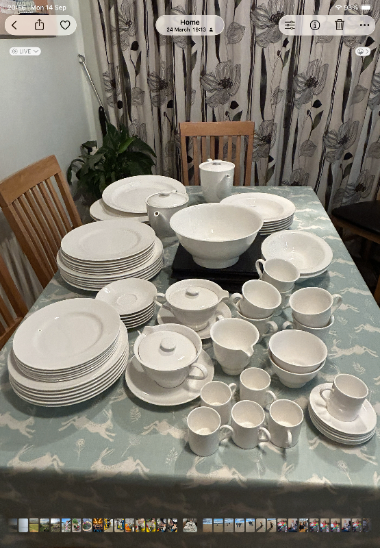 Royal Worcester Lunar