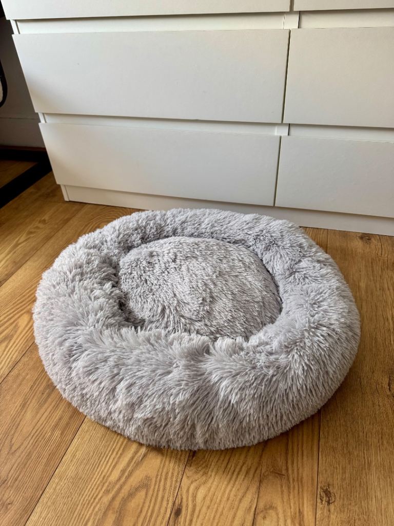 Large cat or dog bed