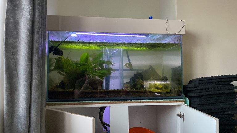 450L fishtank, canister filter & inline heater , £200.00 for Sale