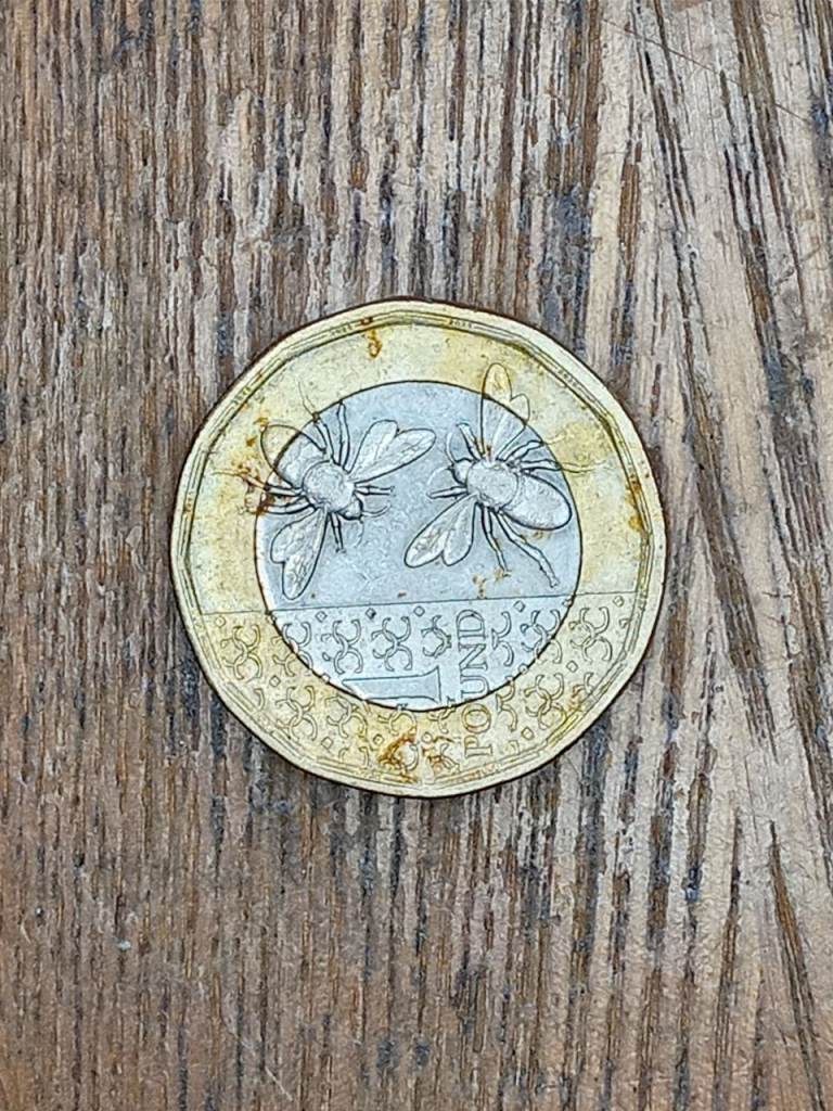 King Charles III Bee £ 1 coin 2025 One Pound