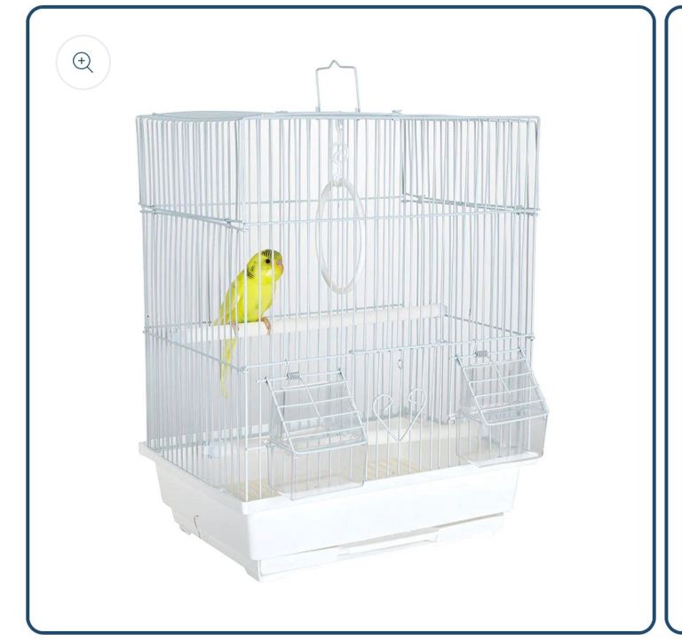 Bird cage 