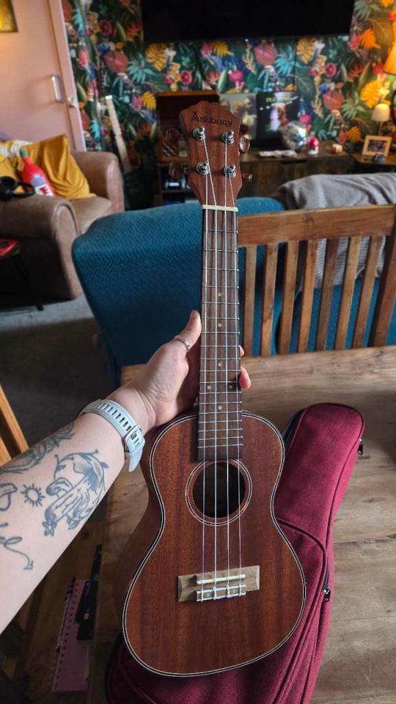 Ashbury Concert Ukelele (Excellent condition)