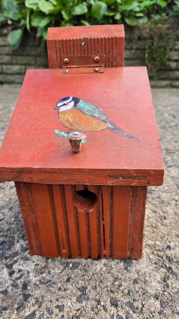 Bird boxes - feeding & nesting 🪹 🐦