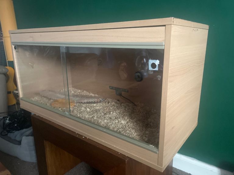 Large Vivarium