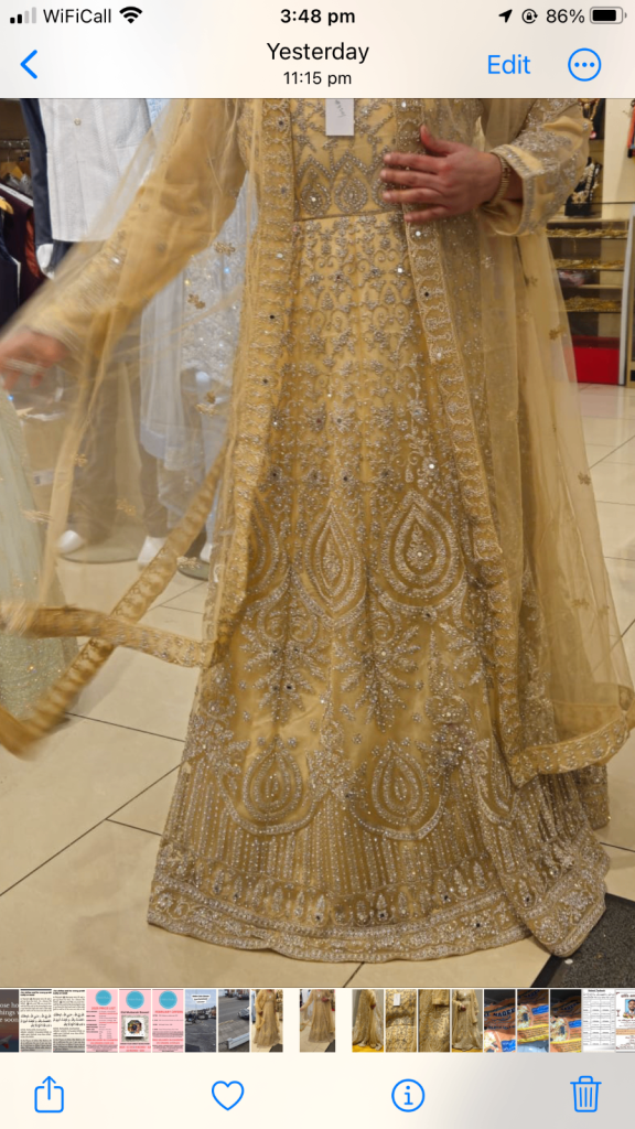 Asian wedding/party dress 